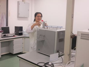 公共技术服务中心人员队伍建设 以技术开发为核心驱动